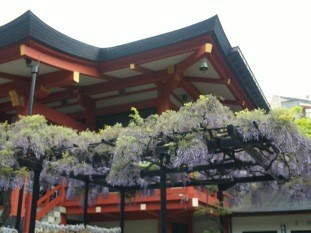 f:id:Magnoliarida:20110505235308j:image