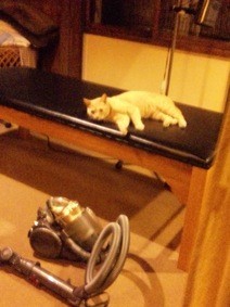 f:id:Magnoliarida:20110505235457j:image