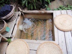 f:id:Magnoliarida:20110506001243j:image