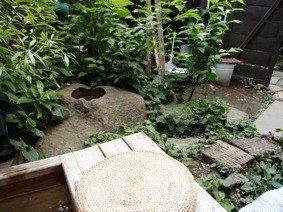 f:id:Magnoliarida:20110506001404j:image