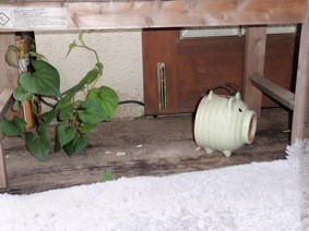 f:id:Magnoliarida:20110506001407j:image