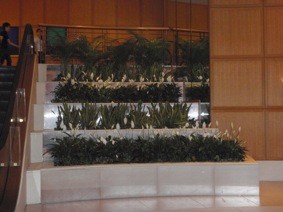 f:id:Magnoliarida:20110627004642j:image