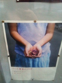 f:id:Magnoliarida:20110806015829j:image