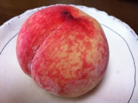 f:id:Magnoliarida:20110806020048j:image