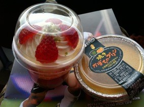 f:id:Magnoliarida:20111010005206j:image