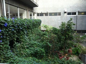 f:id:Magnoliarida:20111104234535j:image