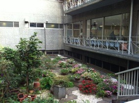 f:id:Magnoliarida:20111104234536j:image