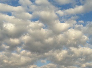 f:id:Magnoliarida:20111223224801j:image