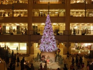 f:id:Magnoliarida:20111223235735j:image f:id:Magnoliarida:20111223235735j:image