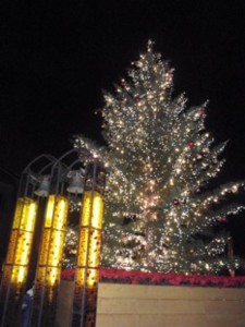 f:id:Magnoliarida:20111223235739j:image