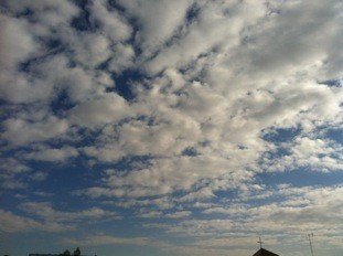 f:id:Magnoliarida:20111231123714j:image