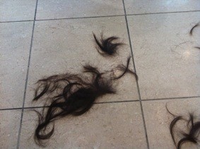 f:id:Magnoliarida:20120109192801j:image