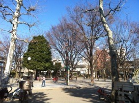 f:id:Magnoliarida:20120109192812j:image