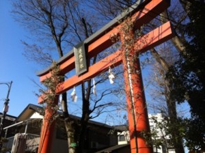 f:id:Magnoliarida:20120109192814j:image