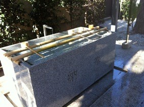 f:id:Magnoliarida:20120109192815j:image