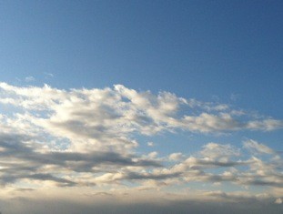 f:id:Magnoliarida:20120202213658j:image