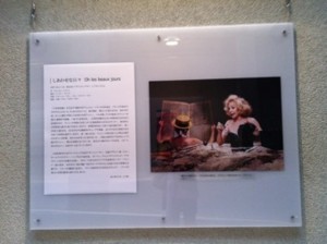 f:id:Magnoliarida:20120226013045j:image