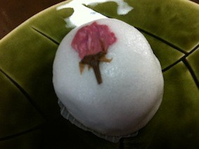 f:id:Magnoliarida:20120315223832j:image