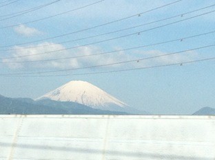 f:id:Magnoliarida:20120513230917j:image