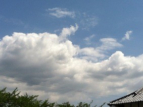 f:id:Magnoliarida:20120513231344j:image