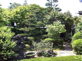 f:id:Magnoliarida:20120513231345j:image