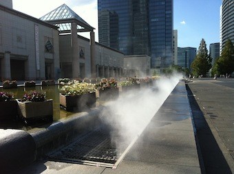 f:id:Magnoliarida:20120731211955j:image f:id:Magnoliarida:20120731211955j:image