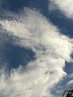 f:id:Magnoliarida:20120819013755j:image