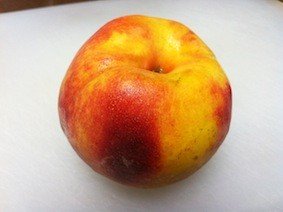 f:id:Magnoliarida:20120830232728j:image