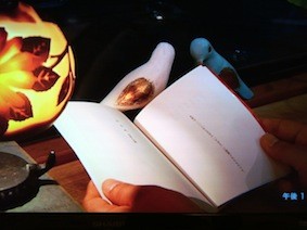 f:id:Magnoliarida:20120906005948j:image