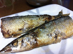 f:id:Magnoliarida:20120906234044j:image