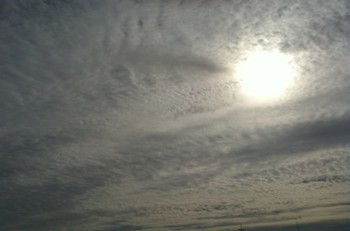 f:id:Magnoliarida:20120927230653j:image