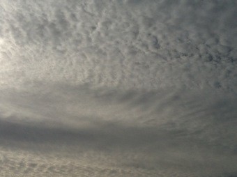 f:id:Magnoliarida:20120927230654j:image