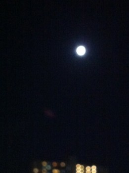 f:id:Magnoliarida:20121001212521j:image