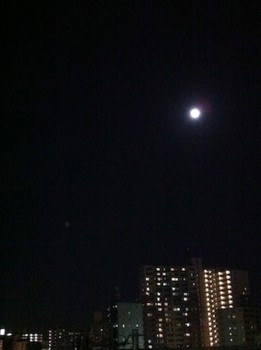 f:id:Magnoliarida:20121001212522j:image