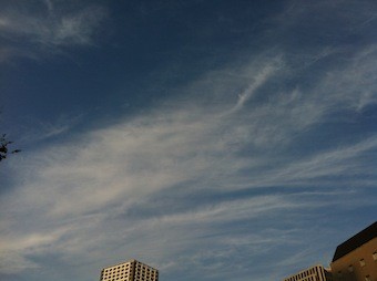 f:id:Magnoliarida:20121007201058j:image