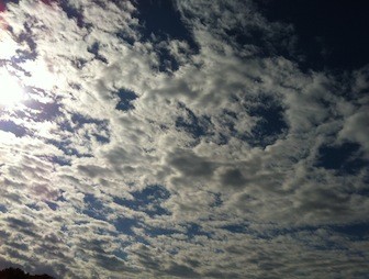 f:id:Magnoliarida:20121118101837j:image