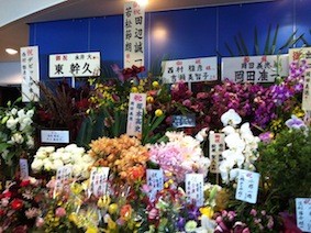 f:id:Magnoliarida:20121118221155j:image