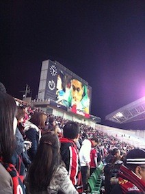 f:id:Magnoliarida:20121202233729j:image