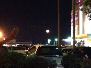 f:id:Magnoliarida:20121202233734j:image