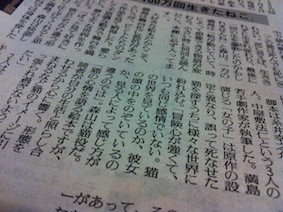 f:id:Magnoliarida:20121226222137j:image