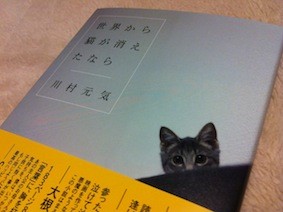 f:id:Magnoliarida:20130115215712j:image