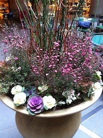 f:id:Magnoliarida:20130120204842j:image