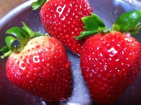 f:id:Magnoliarida:20130126011309j:image