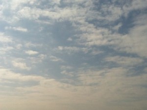 f:id:Magnoliarida:20130317100748j:image