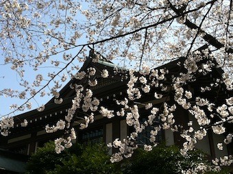 f:id:Magnoliarida:20130322230408j:image