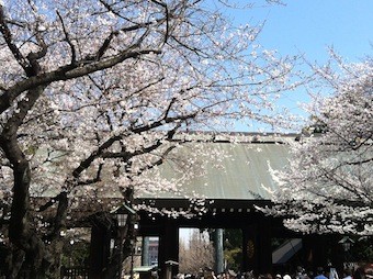 f:id:Magnoliarida:20130322230415j:image