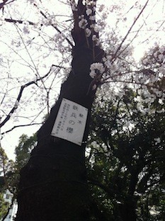 f:id:Magnoliarida:20130322230416j:image