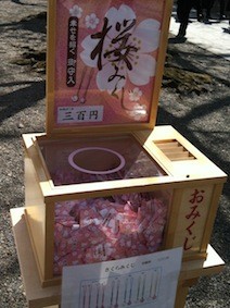 f:id:Magnoliarida:20130322230503j:image