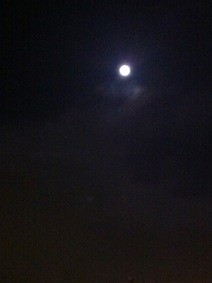 f:id:Magnoliarida:20130328232214j:image