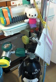 f:id:Magnoliarida:20130412232507j:image